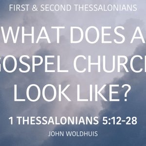 What does a Gospel Church look like?