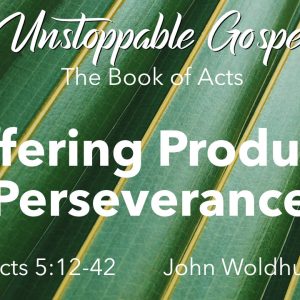Suffering Produces Perseverance