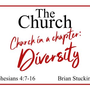 Church in a Chapter: Her Diversity