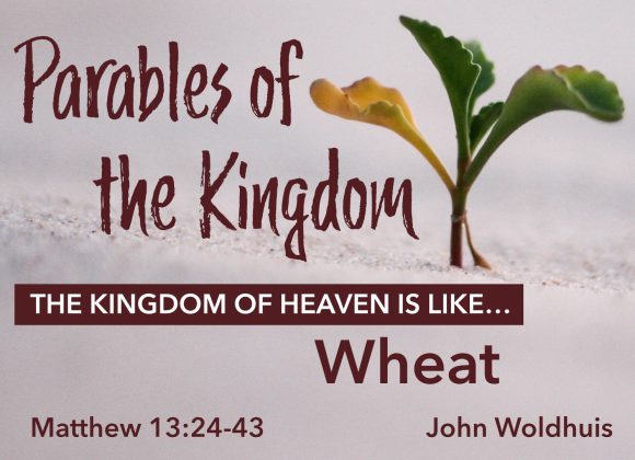 The Kingdom of Heaven is like Wheat