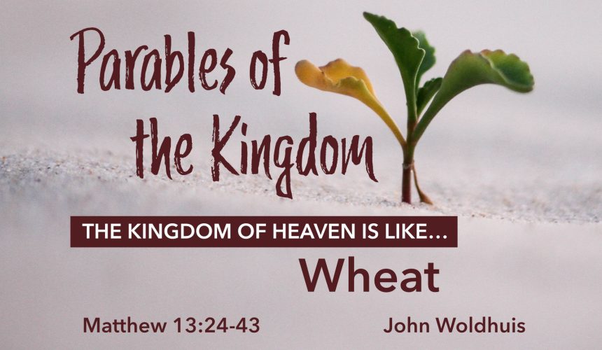 The Kingdom of Heaven is like Wheat