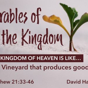 The Kingdom of Heaven is like a Vineyard that produces good fruit