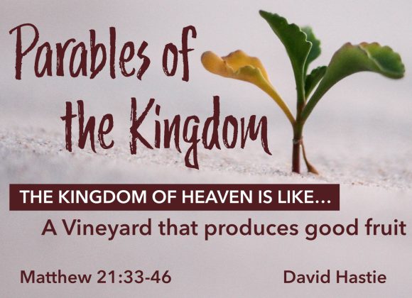 The Kingdom of Heaven is like a Vineyard that produces good fruit