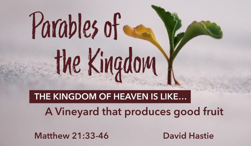 The Kingdom of Heaven is like a Vineyard that produces good fruit