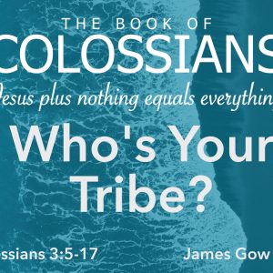 Who’s Your Tribe?