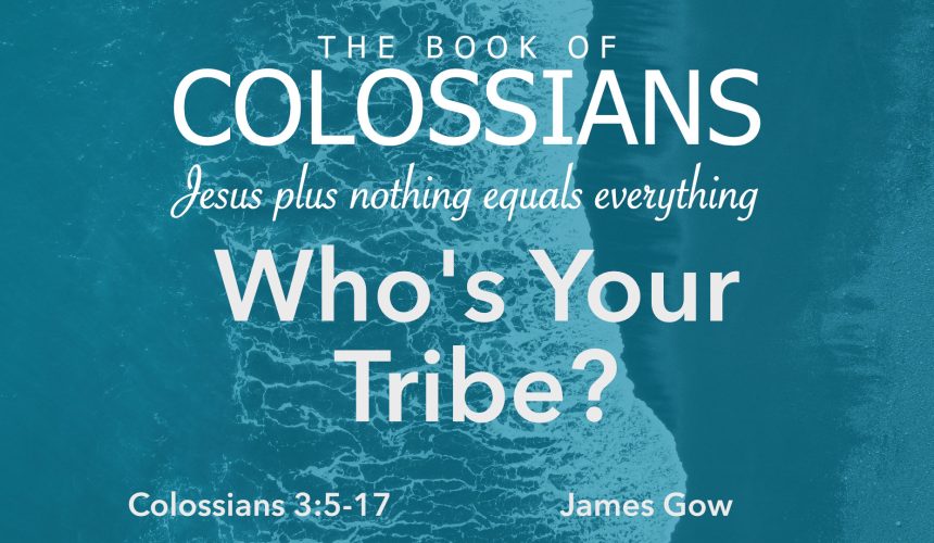Who’s Your Tribe?