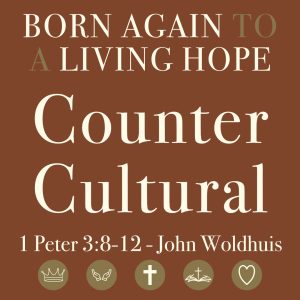 Counter Cultural Counter Cultural