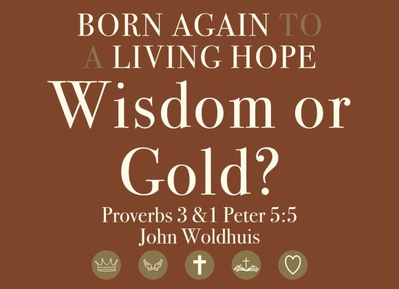 Wisdom or Gold Wisdom or Gold